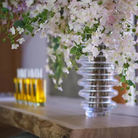 Pivoine - Chateau La Martinette Holiday home Lorgues