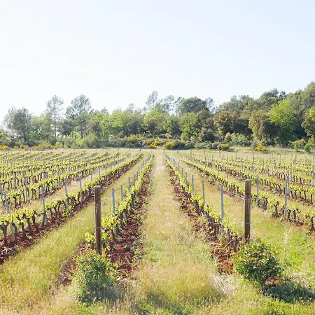 Chateau La Martinette Lorgues